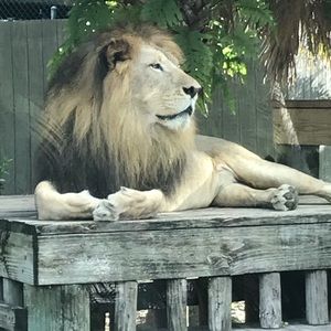 Meet your Posher, Stephen